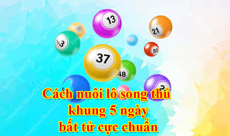 Cách nuôi lô song thủ khung 5 ngày bất tử cực chuẩn