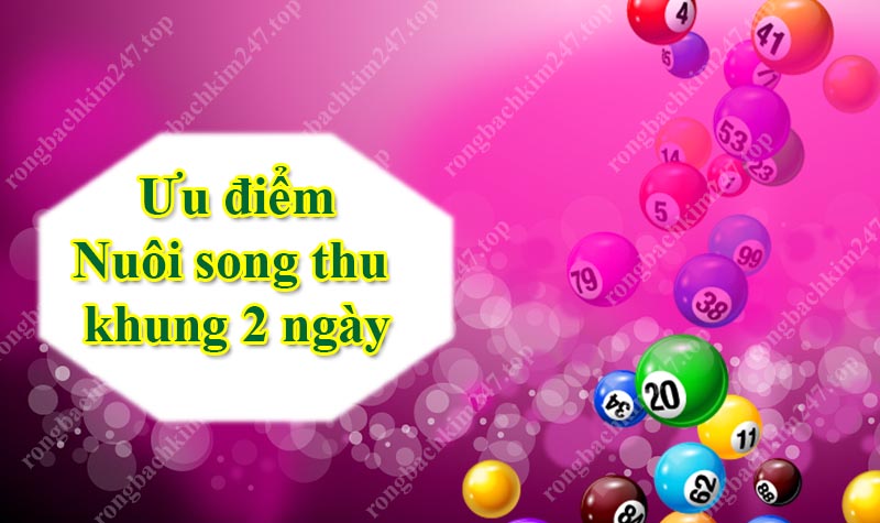 Ưu điểm và nhược điểm phương pháp nuôi song thủ khung 2 ngày