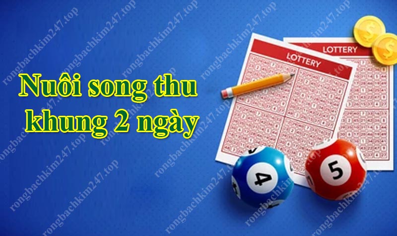 Vì sao nên chọn cách nuôi song thủ khung 2 ngày?